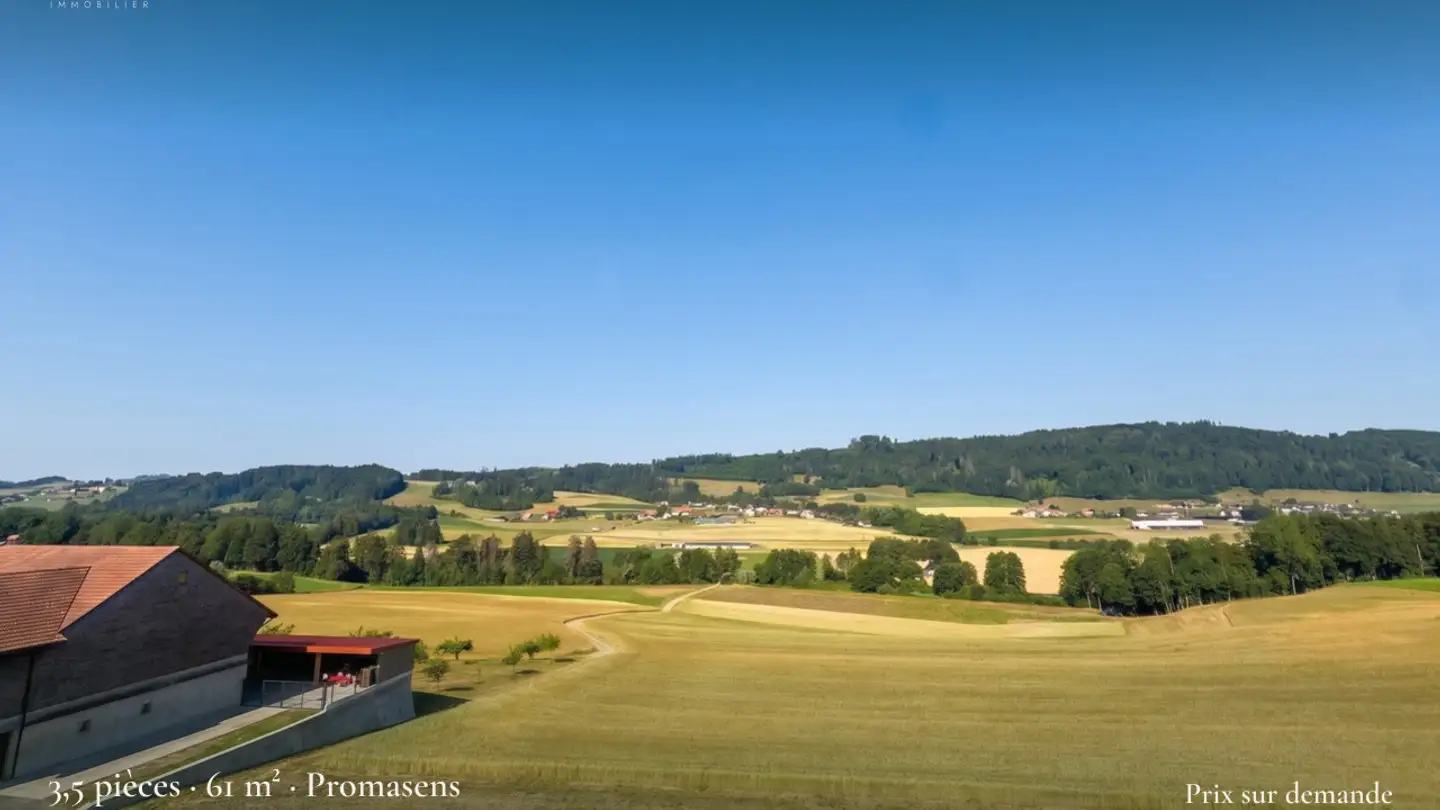 Attique à vendre - 1673 Promasens