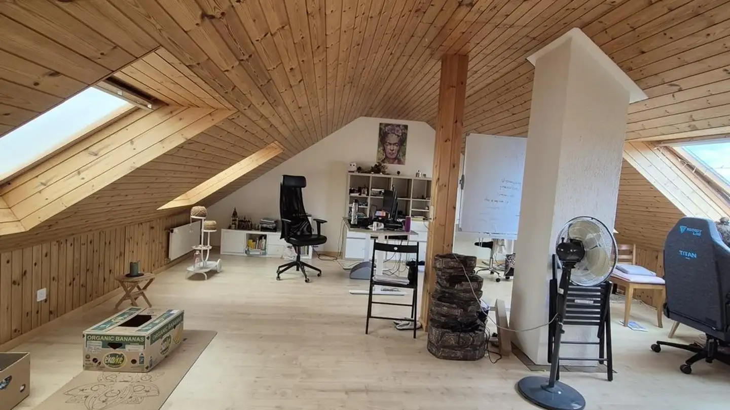 Single house for rent - Büelrainstrasse 42, 8400 Winterthur - Photo 3