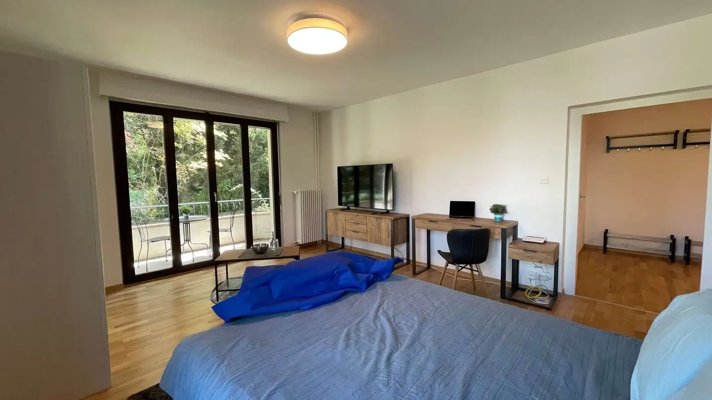 Single room for rent - Chemin De L' Esplanade, 1214 Vernier