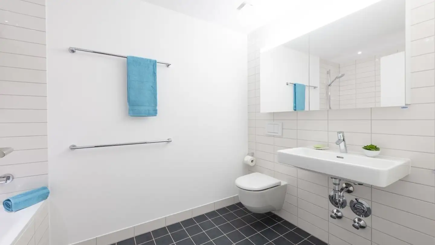 Appartamento in affitto - Ida-Sträuli-Strasse 43, 8404 Winterthur - Foto 4