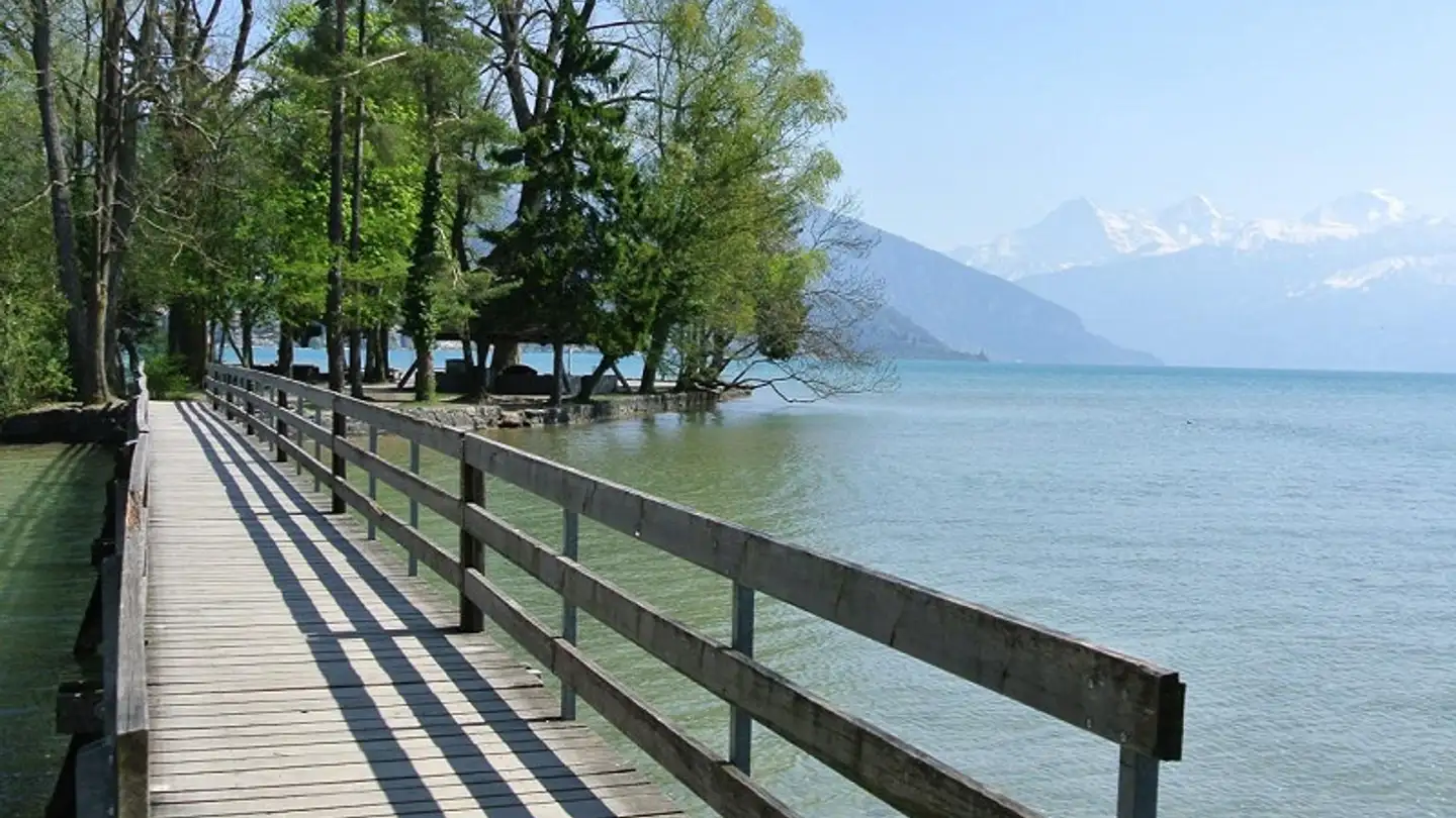 Appartamento in vendita - Pfaffenbühlweg 29, 3604 Thun