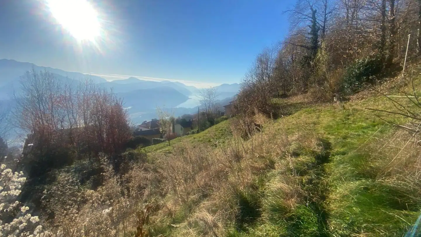 Constructible plot for sale - 6936 Cademario - Photo 2