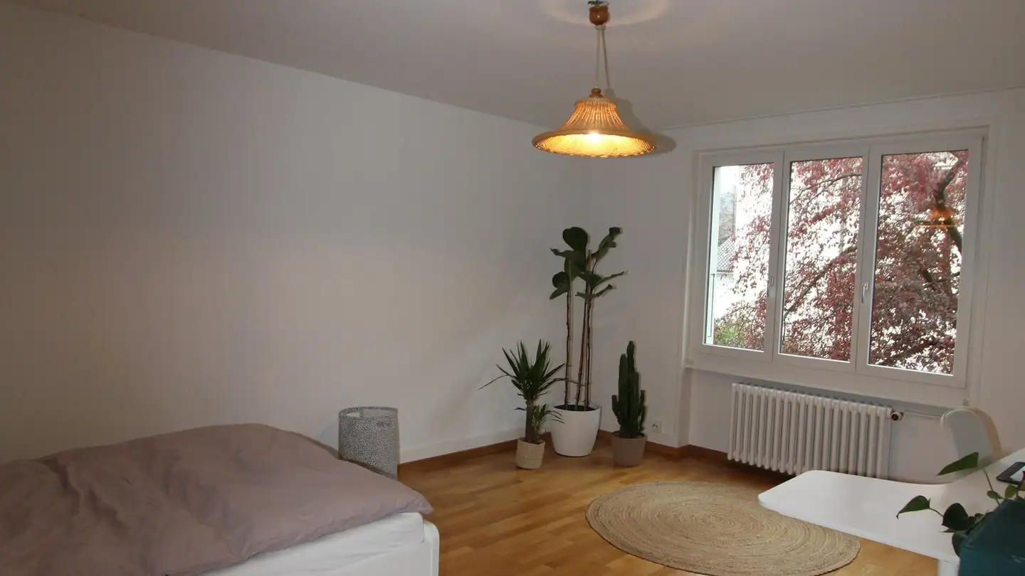 Appartamento in affitto - Länggasse 9d, 3600 Thun