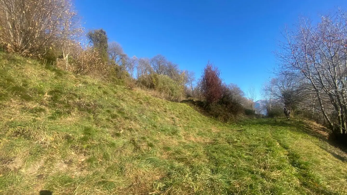 Constructible plot for sale - 6936 Cademario - Photo 3