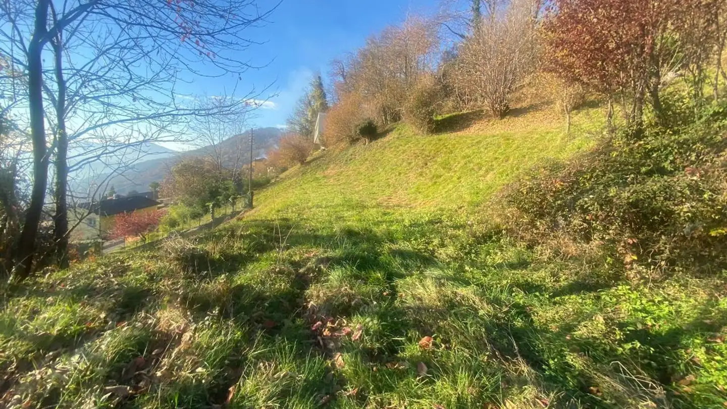 Constructible plot for sale - 6936 Cademario - Photo 4