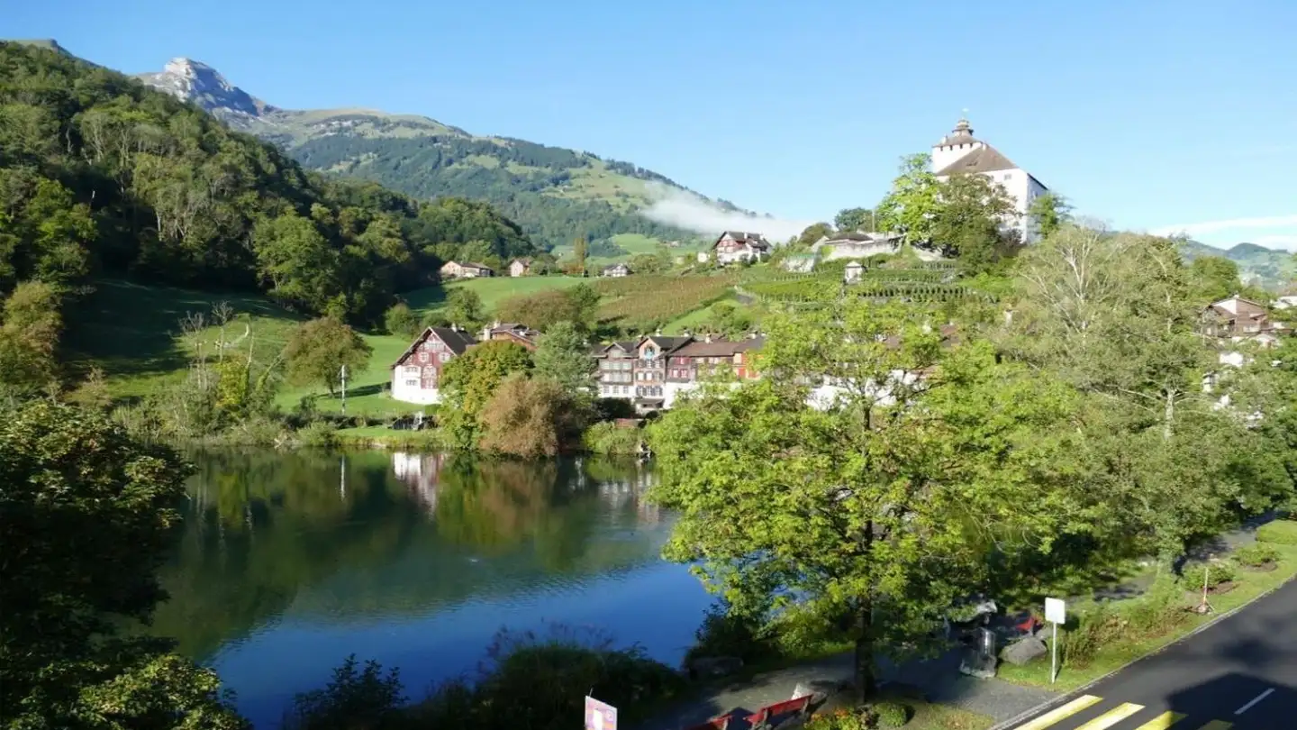 Appartamento in vendita - St. Gallerstrasse 42, 9470 Buchs SG - Photo 4