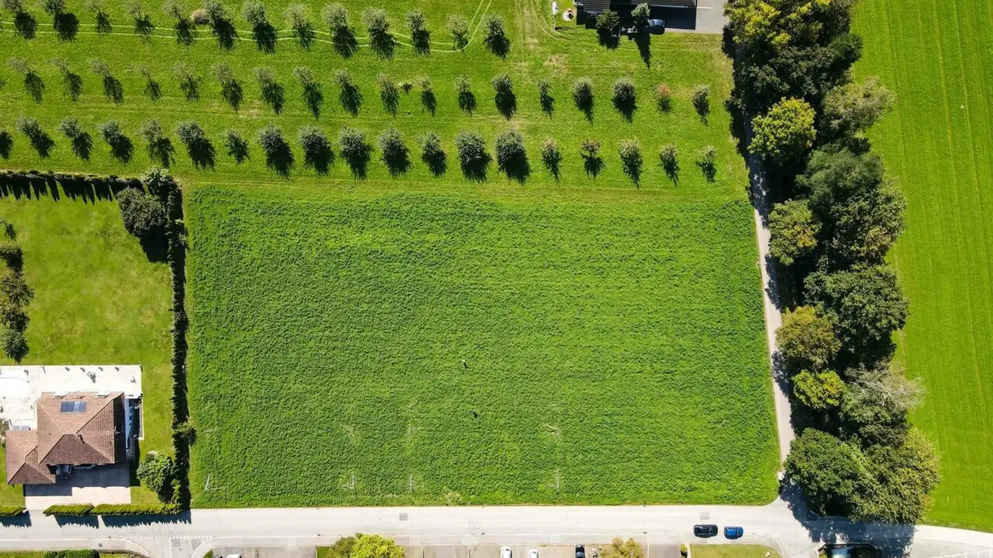 Einfamilienhaus kaufen - Grabmattstrasse 29, 4543 Deitingen - Foto 2
