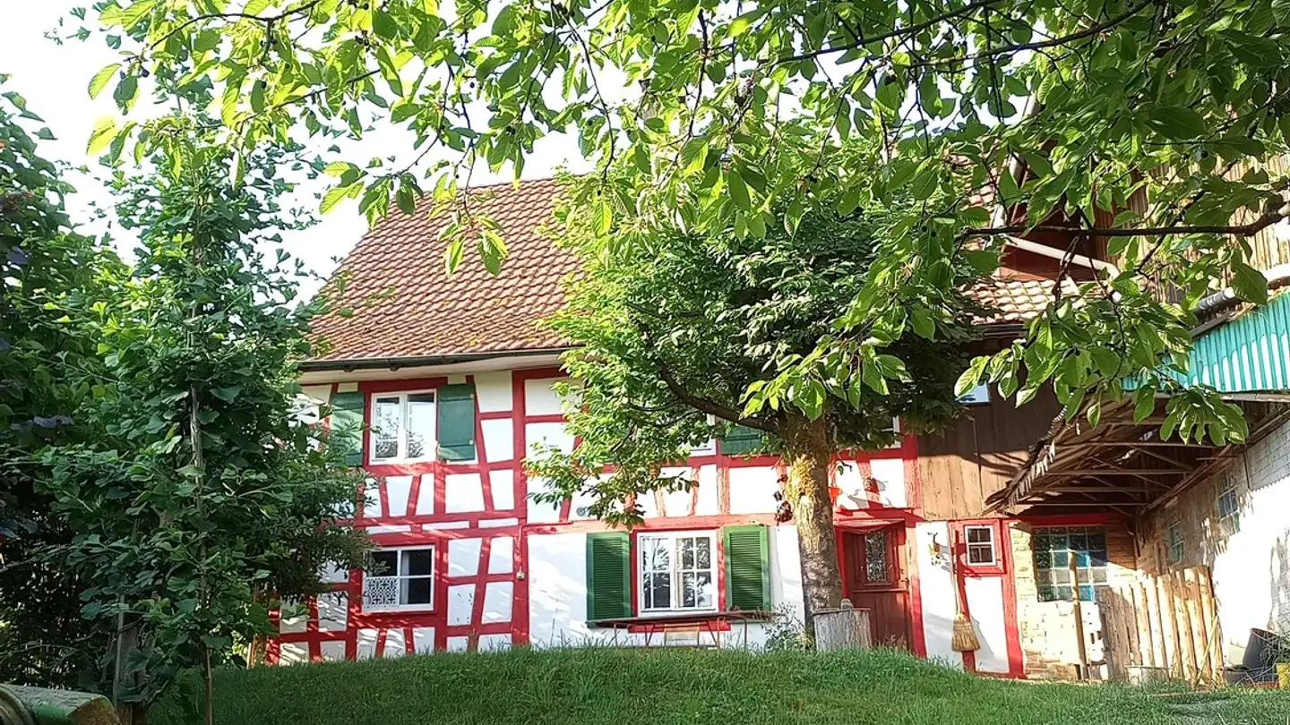 Single room for rent - 8565 Hugelshofen - Photo 2