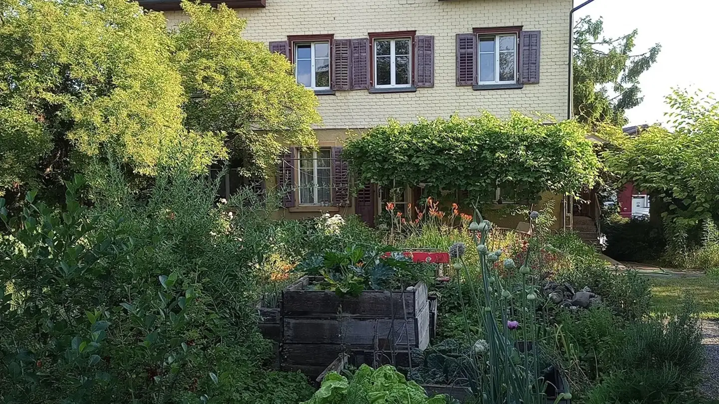 Single room for rent - 8565 Hugelshofen - Photo 4