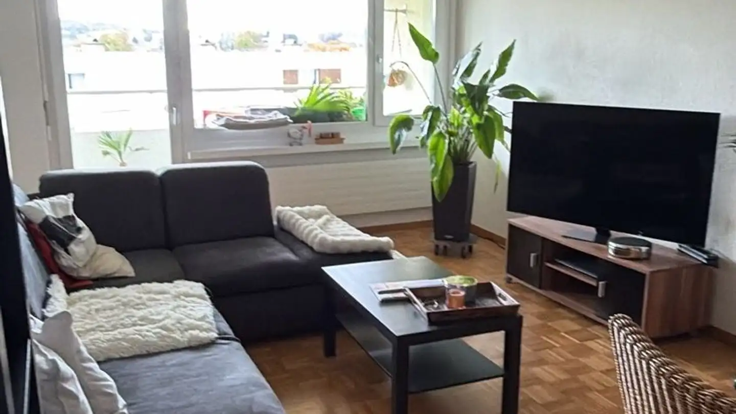 Appartement à louer - Birchstrasse 161, 8156 Oberhasli