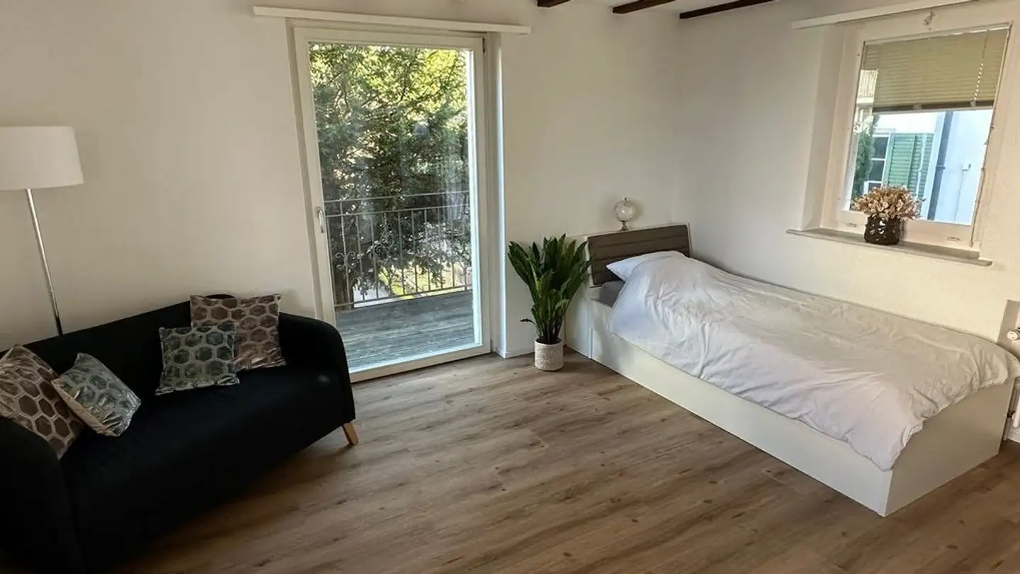 Furnished apartment for rent - Im Unterdorf, 8703 Erlenbach ZH