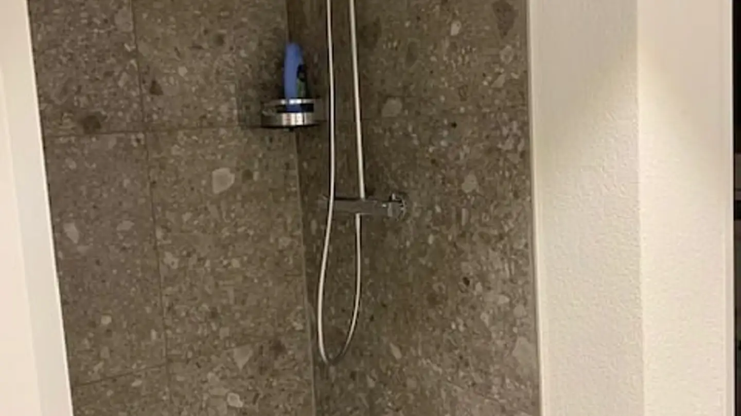 Werkstatt mieten - Kügeliloostrasse 97, 8046 Zürich - Foto 3