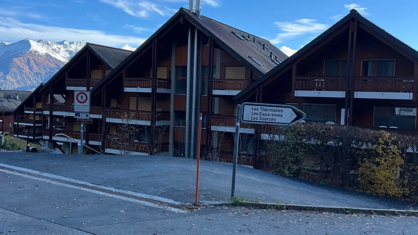 Wohnung kaufen - Chemin Du Mayen Blanc 32, 1911 Ovronnaz