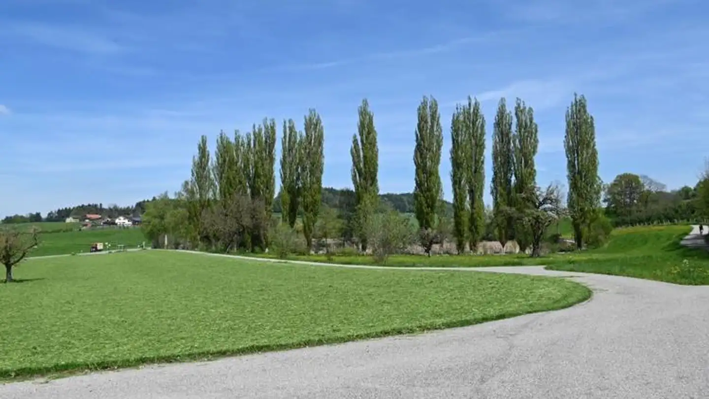 Appartement à louer - Oberbettenau, 9243 Jonschwil - Photo 2