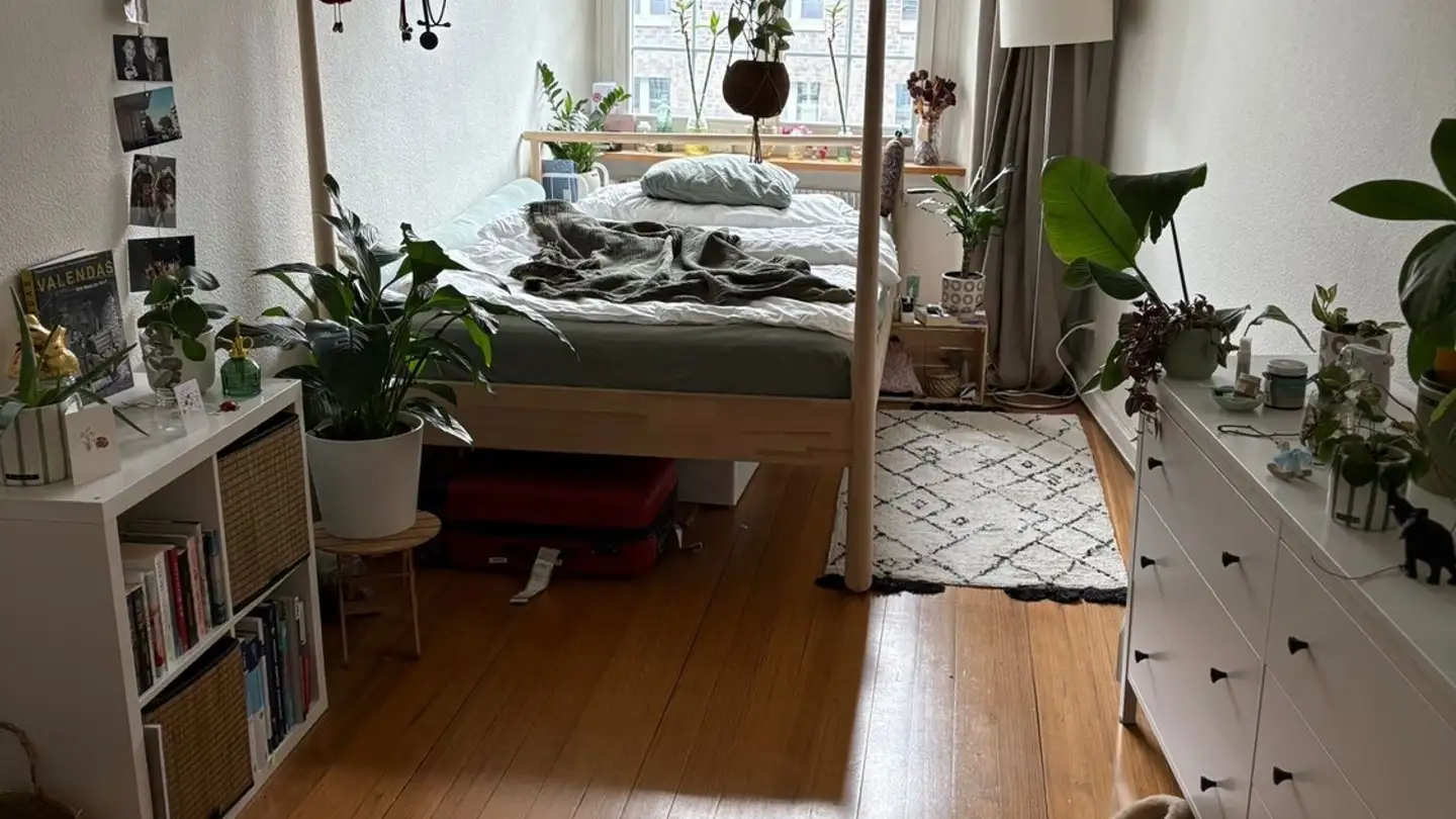 Single room for rent - Steinberggasse 61, 8400 Winterthur
