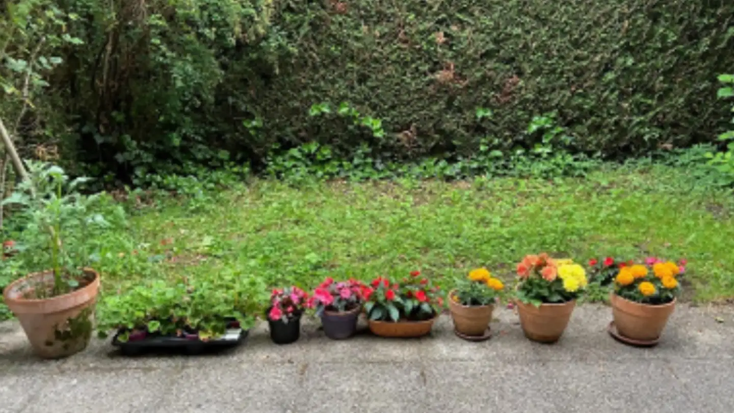 Appartement à louer - Chemin Du Point-Du-Jour, 1202 Genève - Photo 2