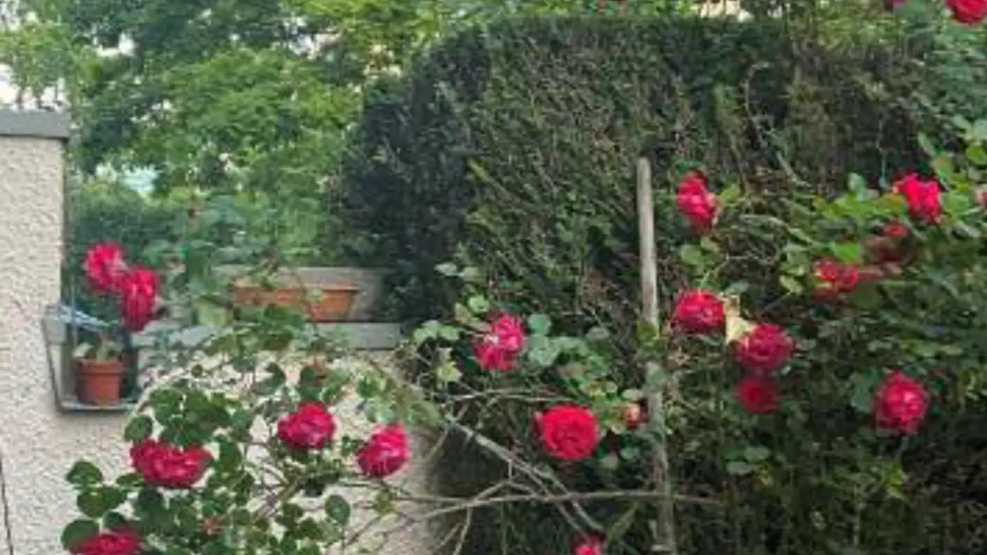 Appartement à louer - Chemin Du Point-Du-Jour, 1202 Genève - Photo 3