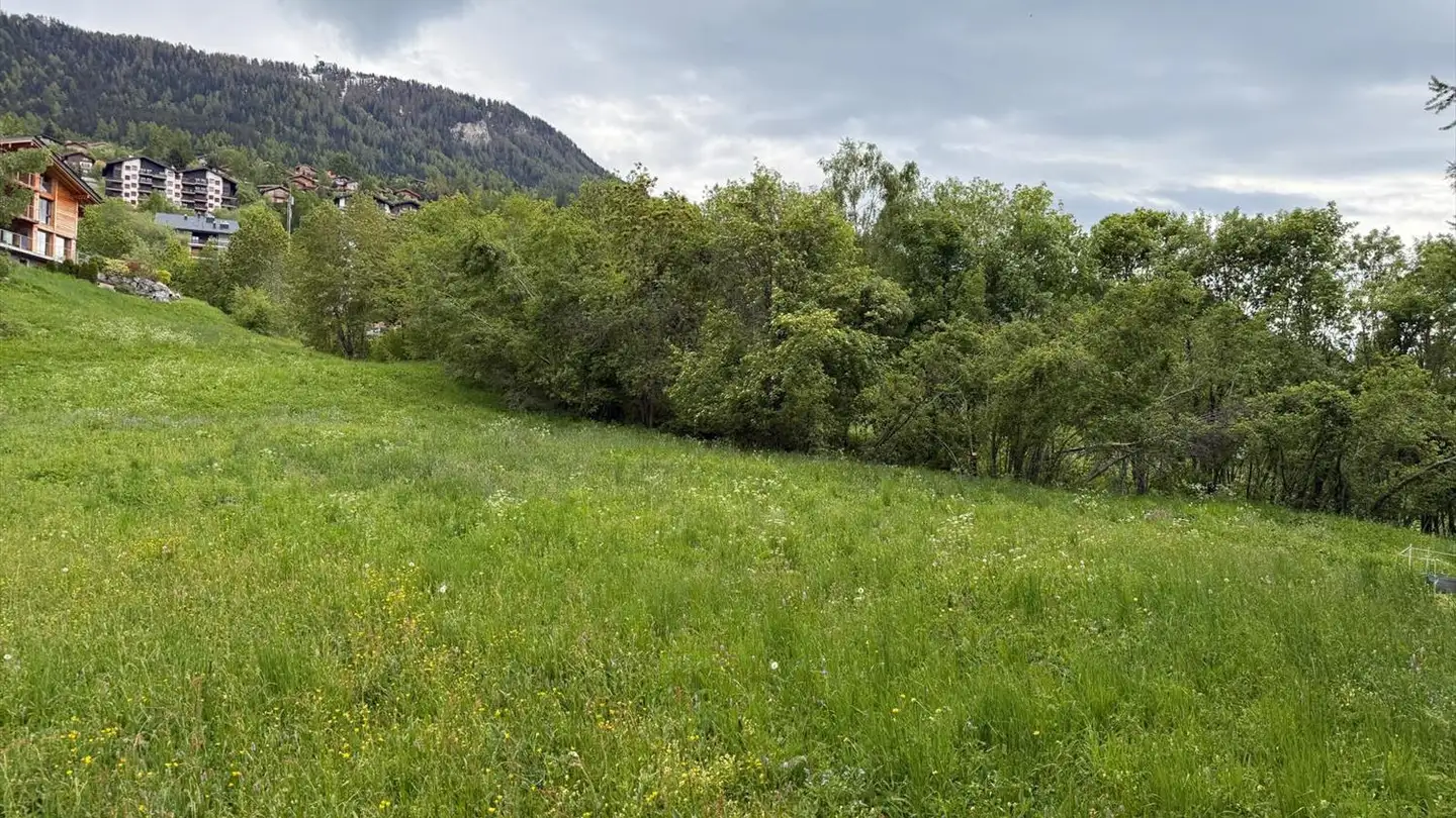 Terrain constructible à vendre - 1997 Haute-Nendaz - Photo 2