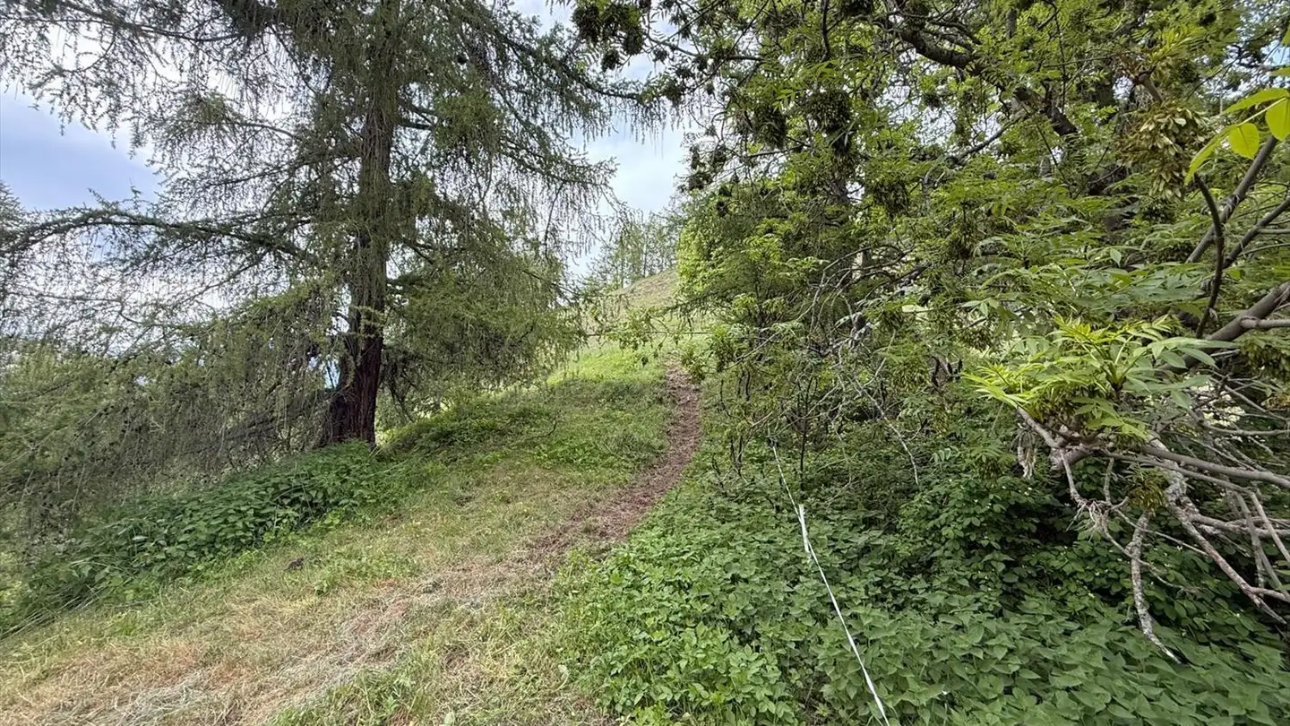 Terrain constructible à vendre - 1997 Haute-Nendaz - Photo 4