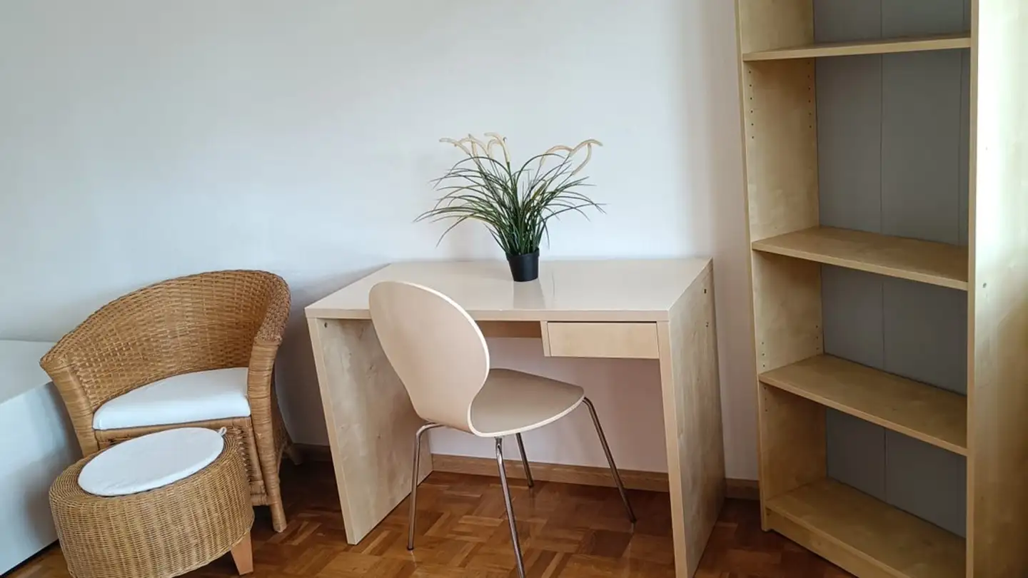 Chambre à louer - Färberstrasse, 4057 Basel - Photo 3