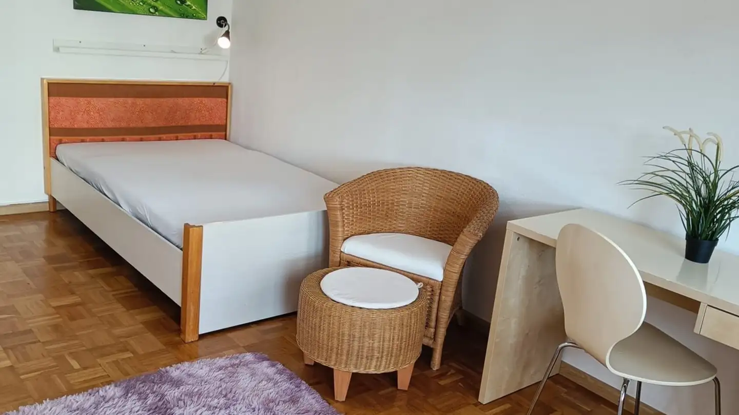 Chambre à louer - Färberstrasse, 4057 Basel - Photo 2