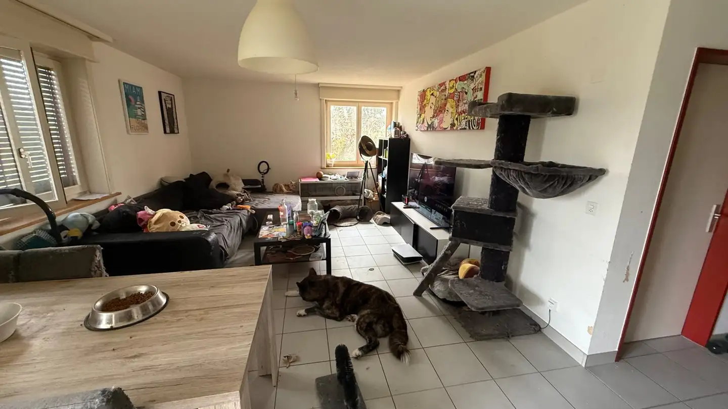 Appartement à louer - 1580 Oleyres - Photo 4