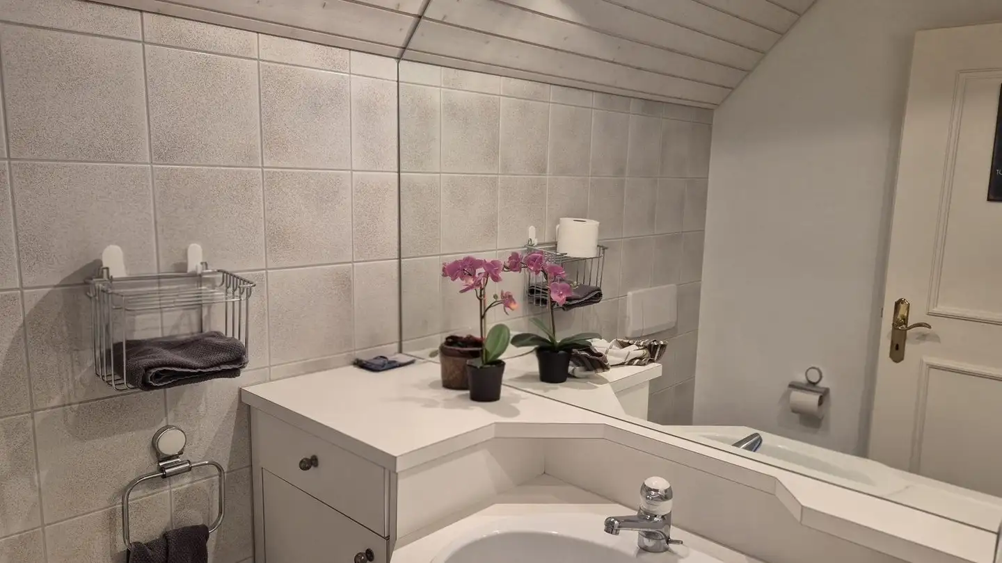 Appartement à louer - Obermühle 14, 8353 Elgg - Photo 3