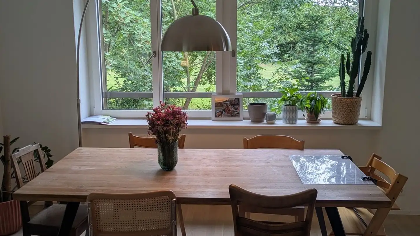 Apartment for rent - Bocklerstrasse 37, 8051 Zürich