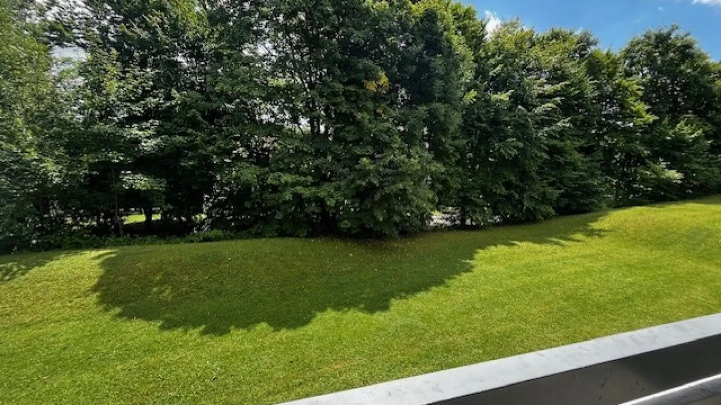 Appartamento in affitto - Brugghalden, 9300 Wittenbach