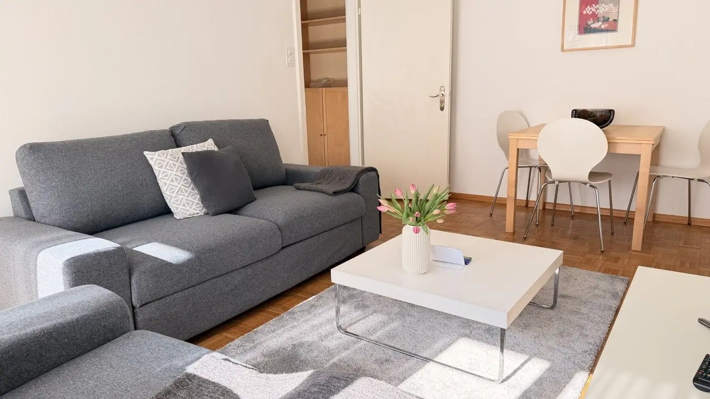 Möblierte Wohnung mieten - Schützenmattstrasse 30, 4051 Basel