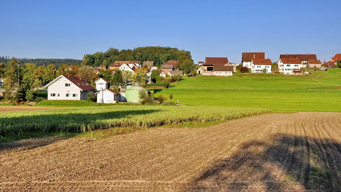 Single house for sale - 8912 Obfelden - Photo 2