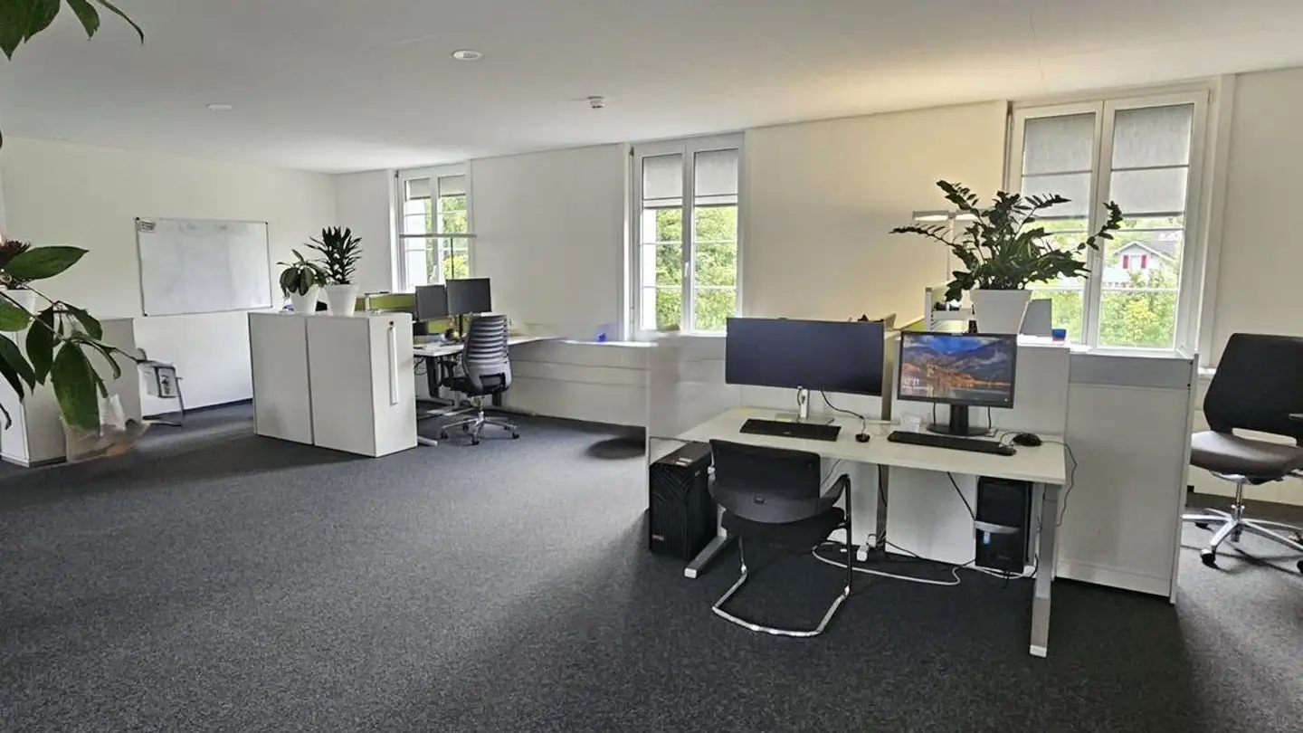 Spazio ufficio in affitto - Schlosstalstrasse 45A, 8406 Winterthur - Foto 2