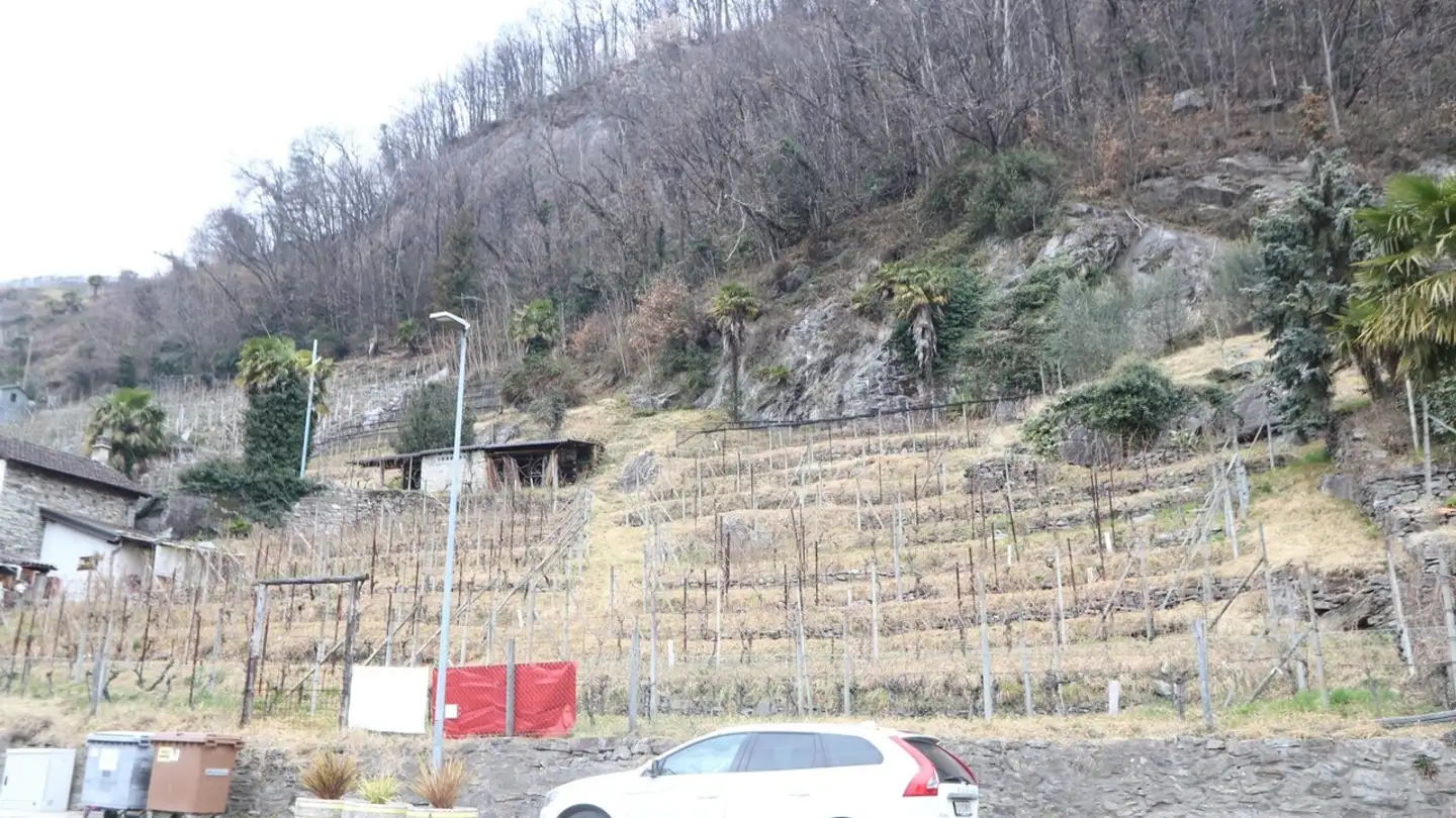 Farm for sale - 6514 Sementina