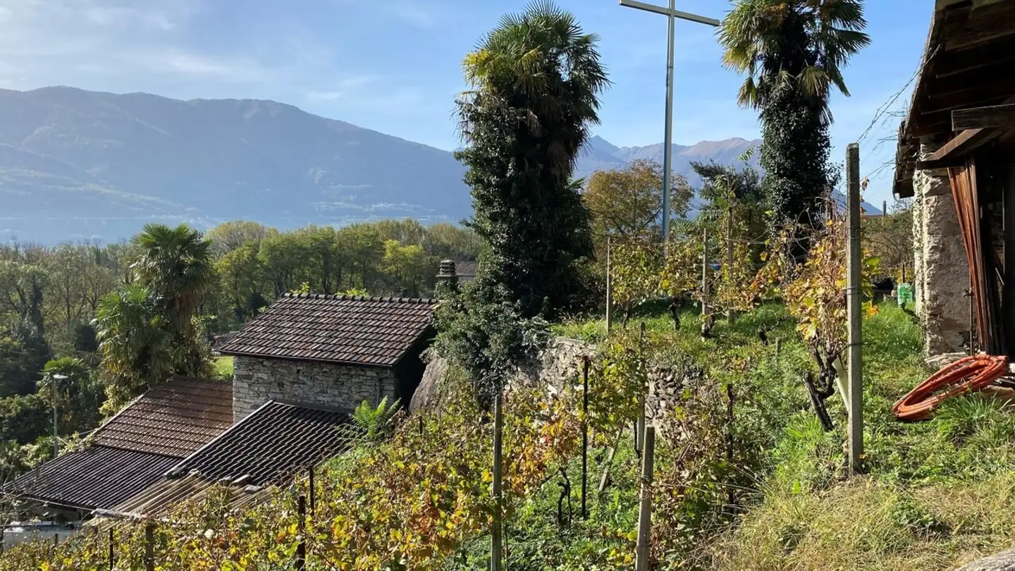 Farm for sale - 6514 Sementina - Photo 4