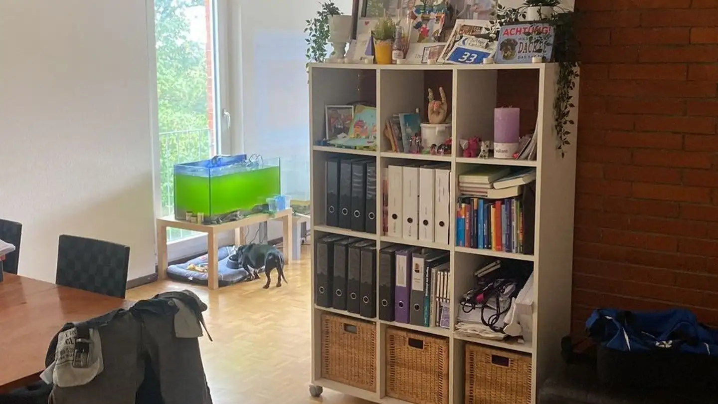 Appartamento in affitto - Zürichstrasse 242, 8122 Binz - Photo 3