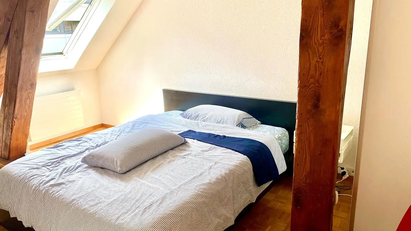 Apartment for rent - Rue De L' Aubépine 2, 1205 Genève - Photo 3