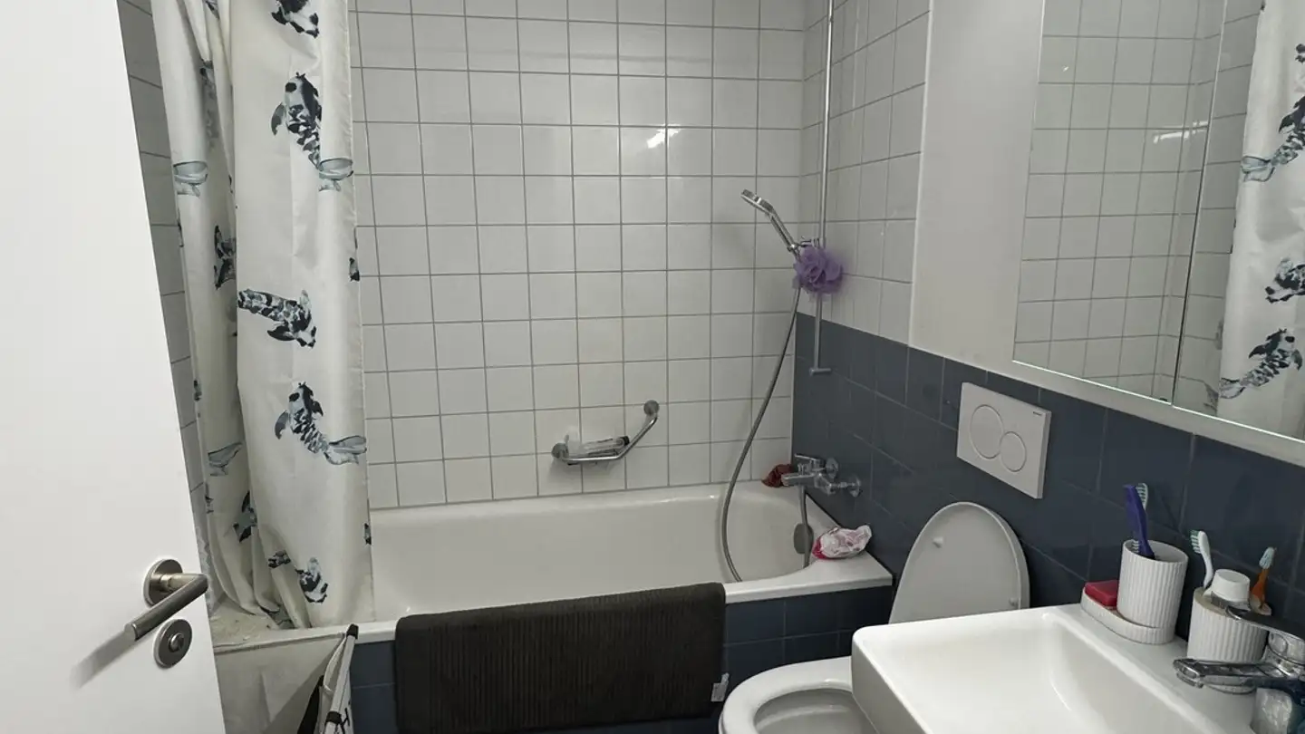 Chambre à louer - Leutschenbachstrasse 84, 8050 Zürich - Photo 4