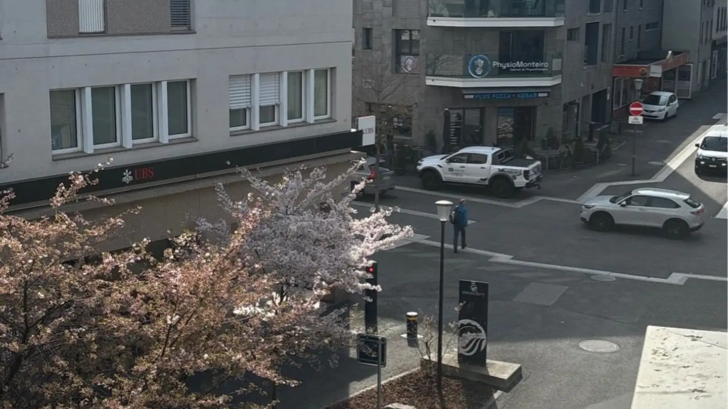 Appartement à louer - Rue Du Coppet 11, 1870 Monthey