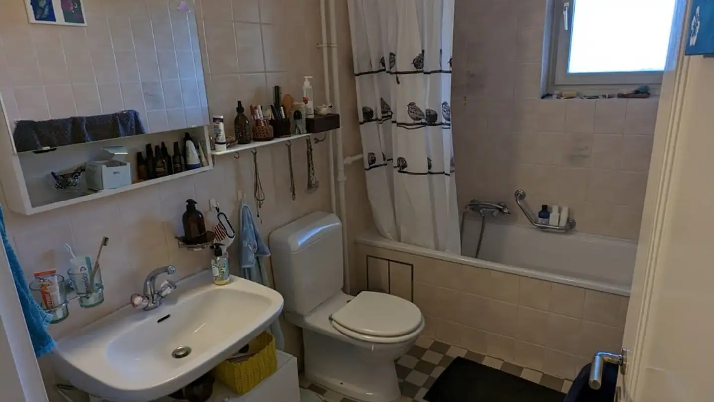 Apartment for rent - Sankt Galler-Ring, 4054 Basel - Photo 4