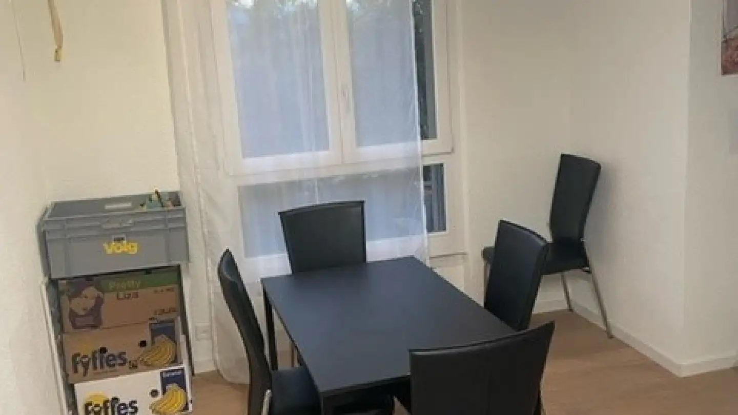Apartment for rent - Brühlwiesenstrasse 11b, 9545 Wängi - Photo 4