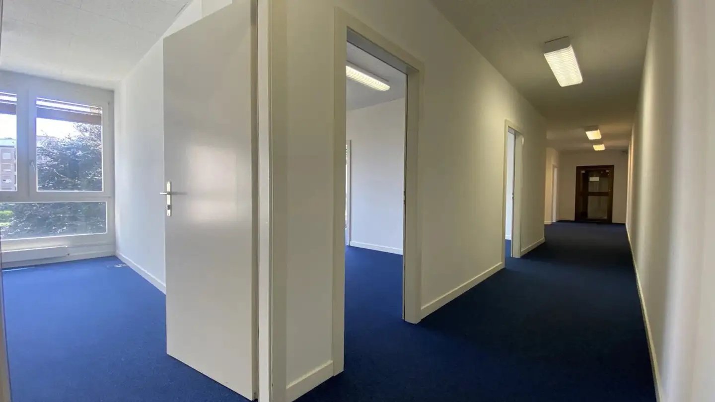 Commerciale in affitto - Rue De La Gabelle 9, 1227 Carouge GE - Photo 2