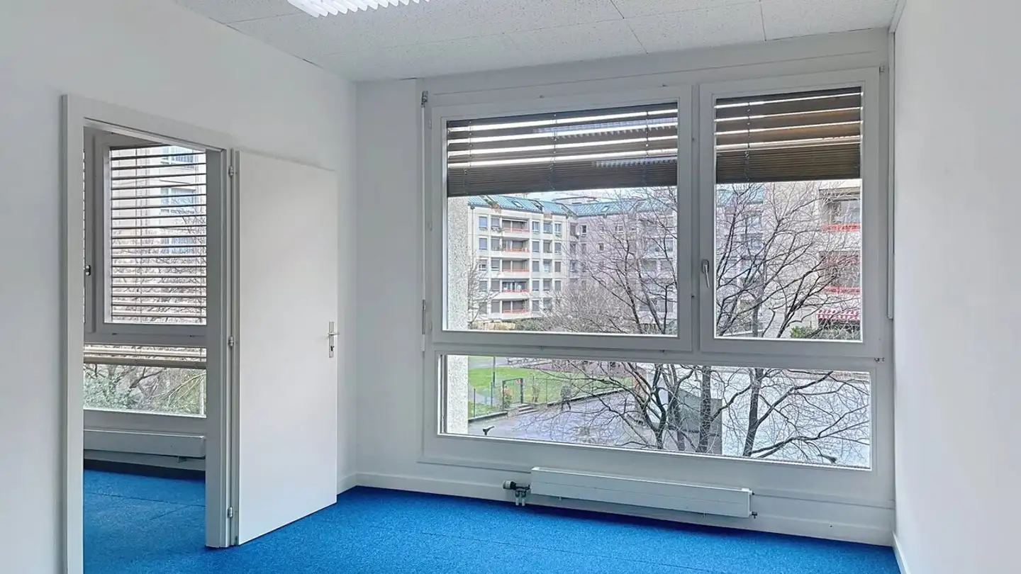 Commerciale in affitto - Rue De La Gabelle 9, 1227 Carouge GE - Photo 4