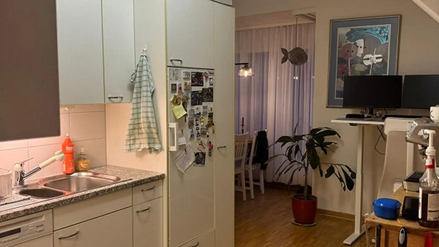 Attico in affitto - Eidmattstrasse 5, 8820 Wädenswil