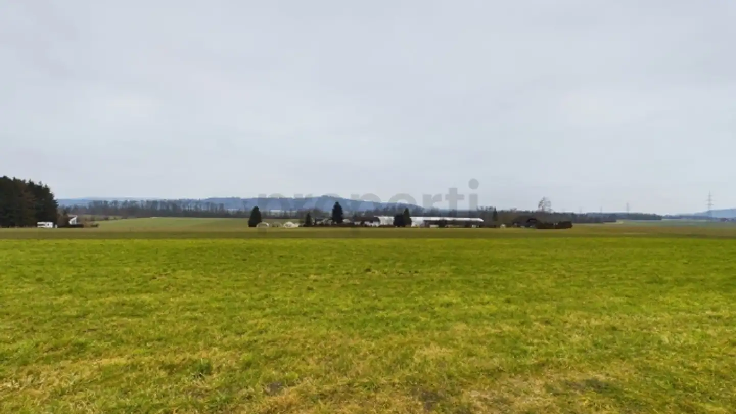 Bauland kaufen - 2554 Meinisberg