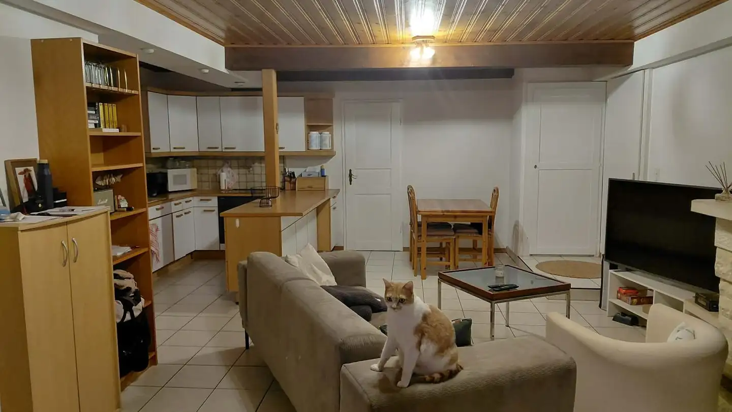 Appartement à louer - Chemin De La Grangette, 1010 Lausanne