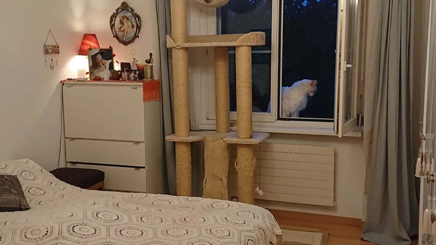 Wohnung mieten - Püntstrasse 23, 8132 Egg b. Zürich - Foto 4