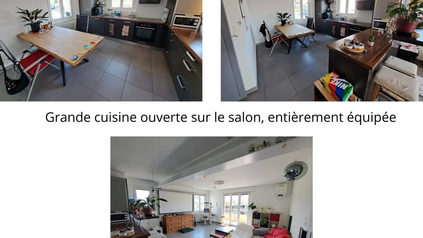 Wohnung mieten - 1965 Savièse