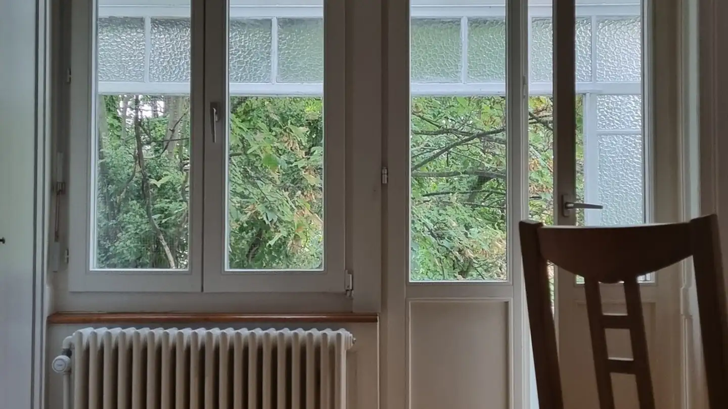 Zimmer mieten - Feldbergstrasse 89, 4057 Basel - Foto 3