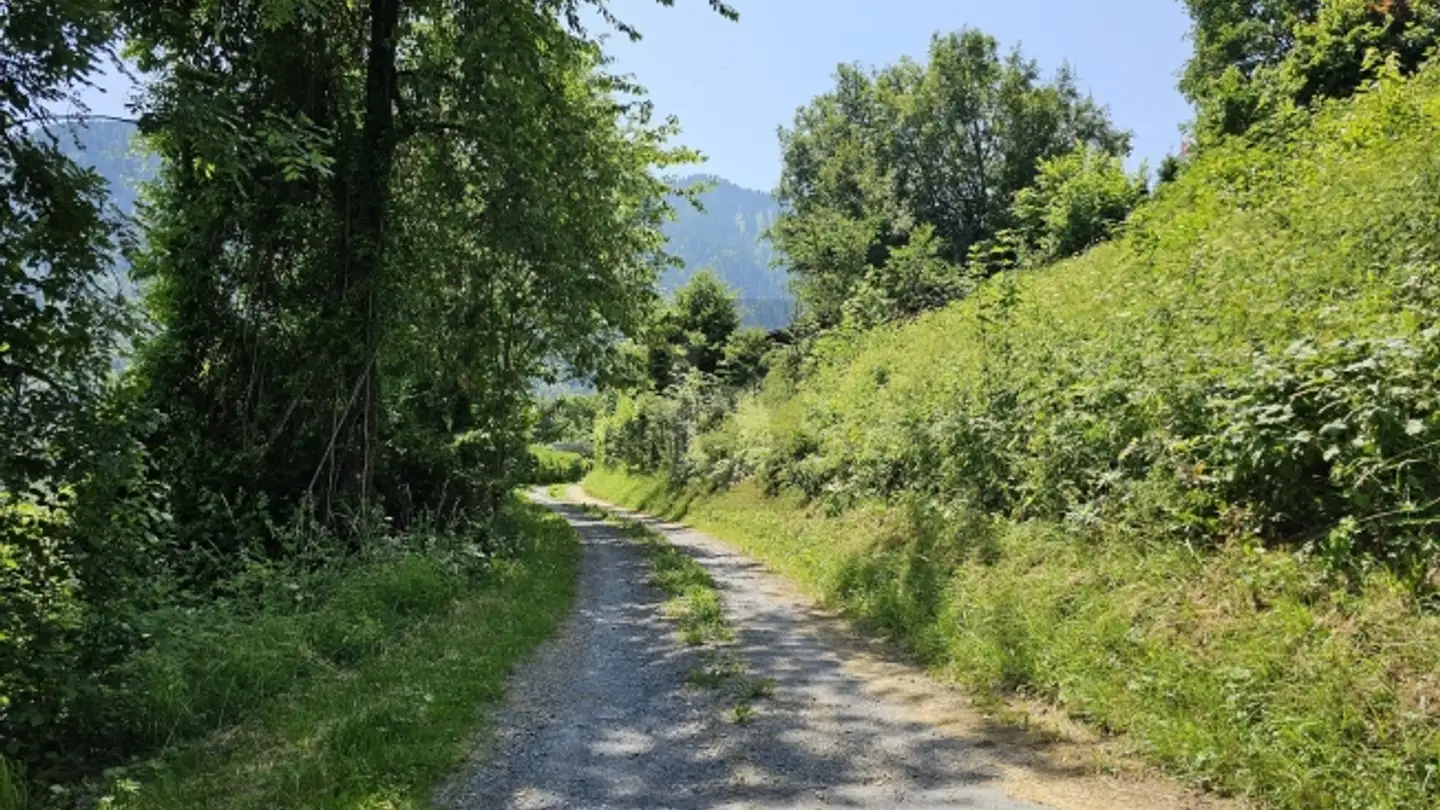 Terrain constructible à vendre - 1896 Miex - Photo 3