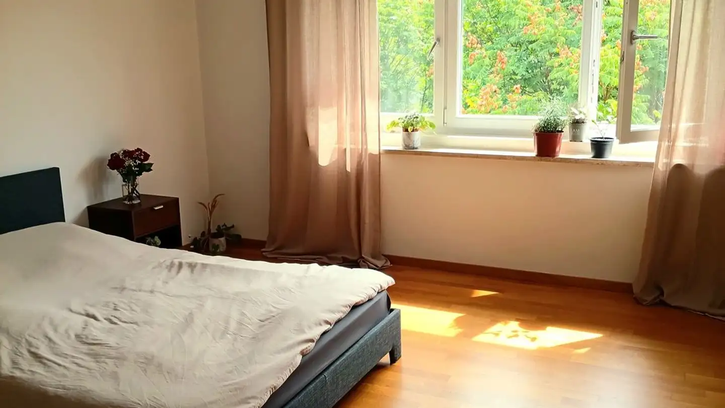 Appartement à louer - 8053 Zürich